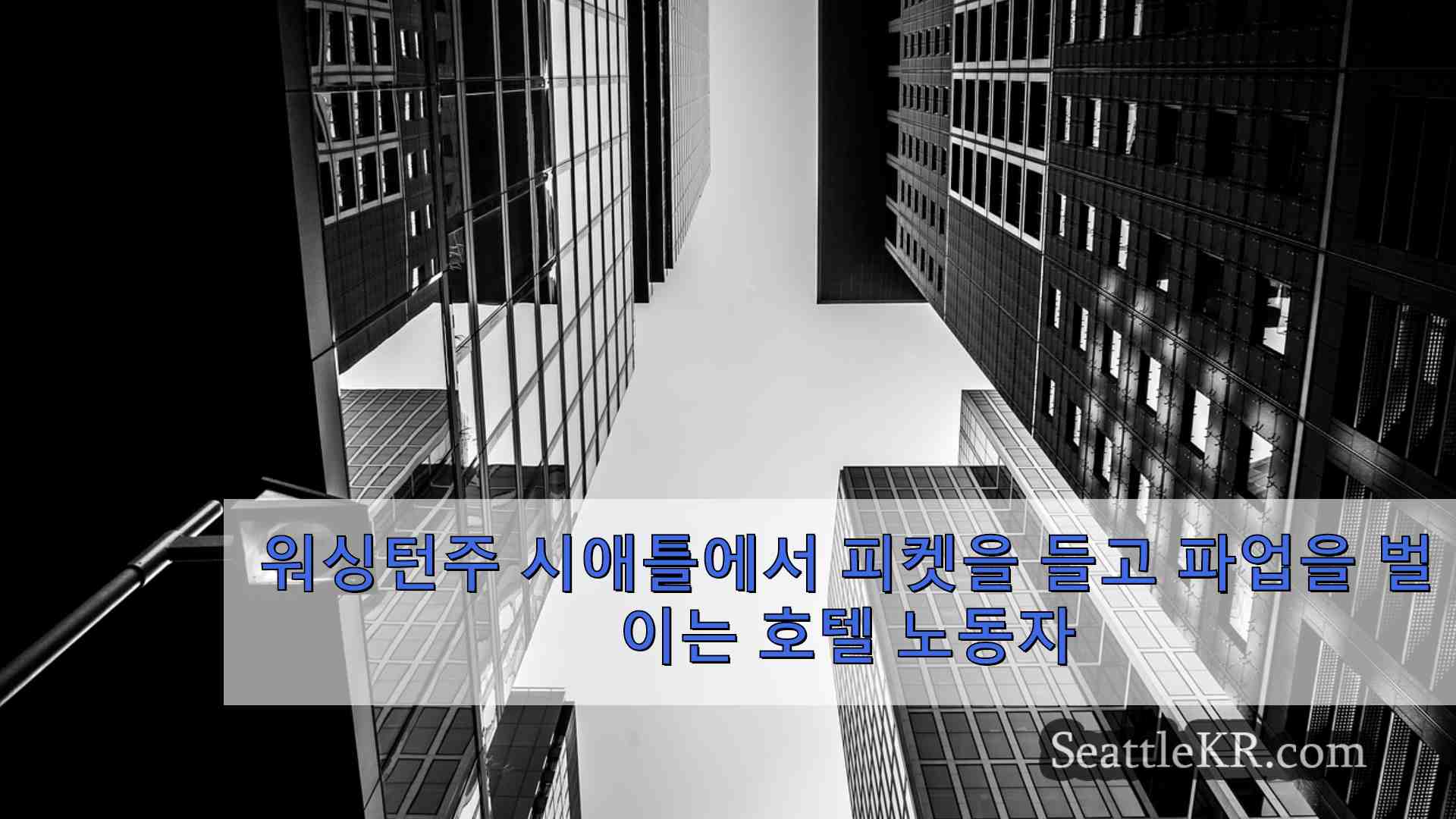 시애틀 뉴스 SeattleKR