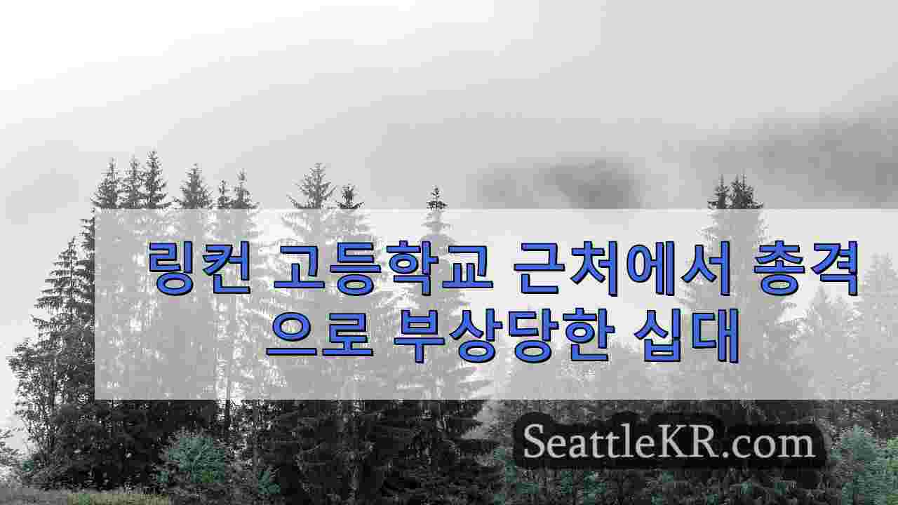 시애틀 뉴스 SeattleKR