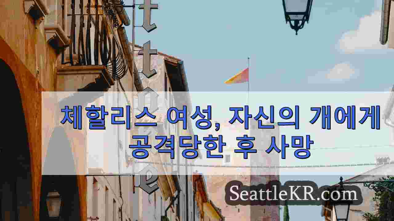 시애틀 뉴스 SeattleKR