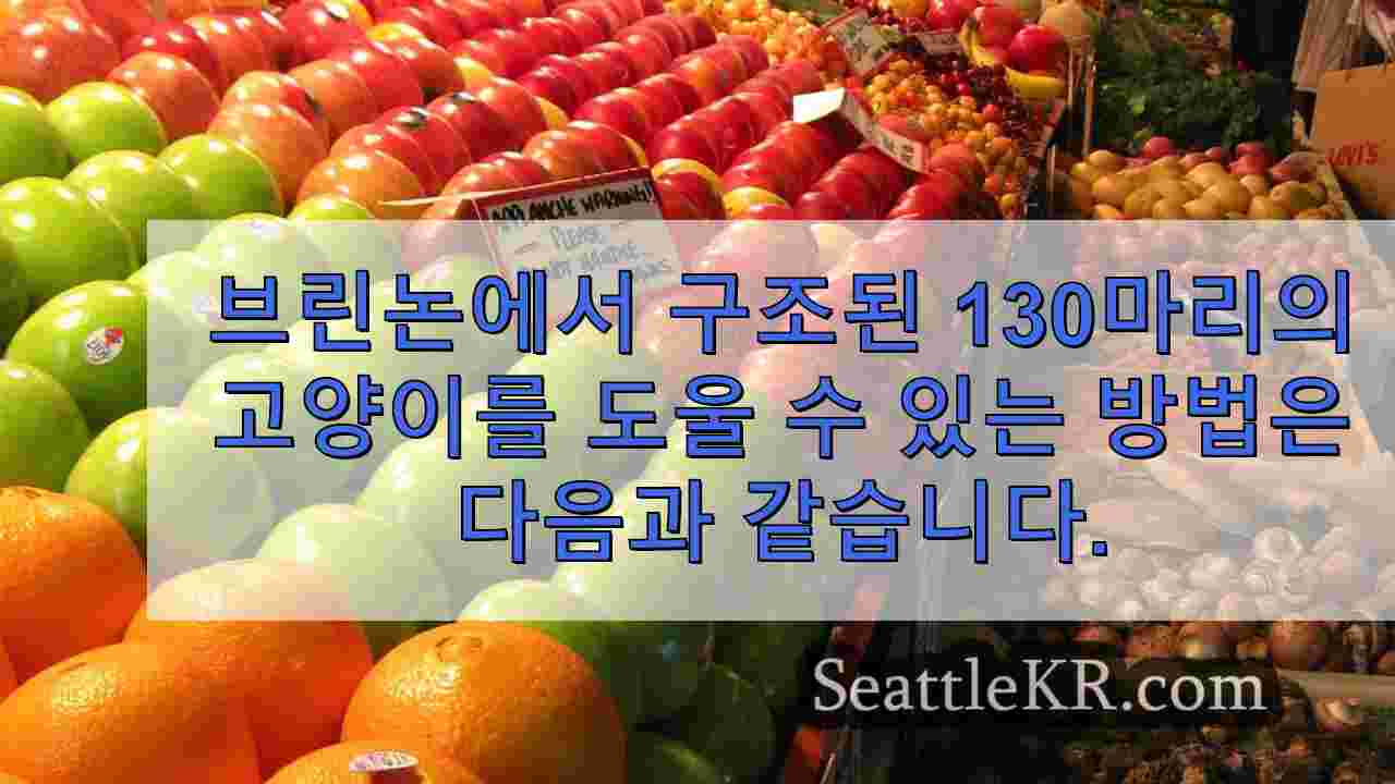 시애틀 뉴스 SeattleKR