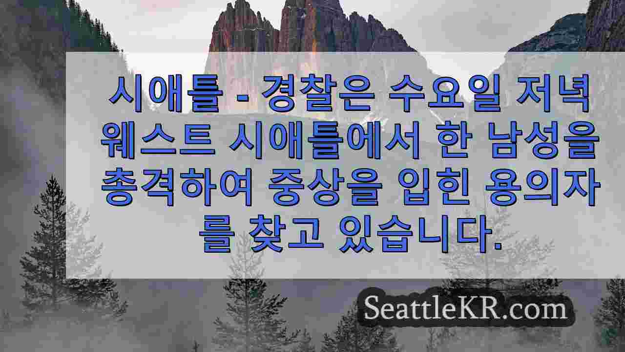 시애틀 뉴스 SeattleKR