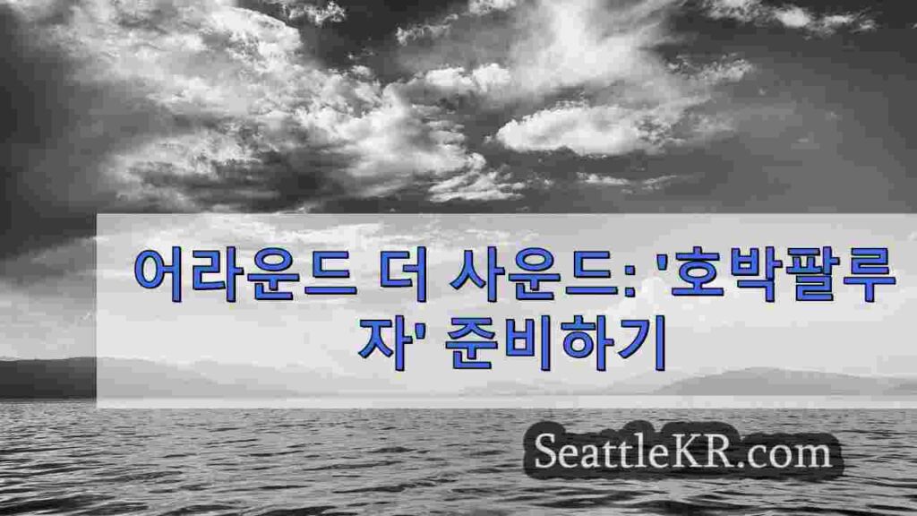 어라운드 더 사운드: '호박팔루자' 준비하기
