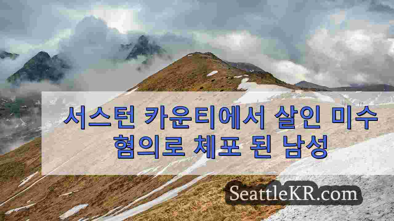 시애틀 뉴스 SeattleKR