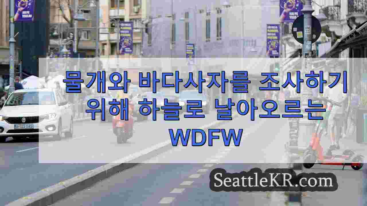 시애틀 뉴스 SeattleKR