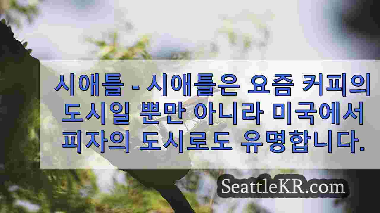 시애틀 뉴스 SeattleKR