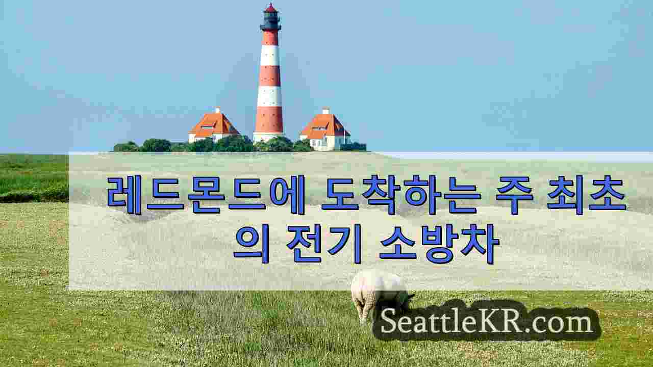 시애틀 뉴스 SeattleKR