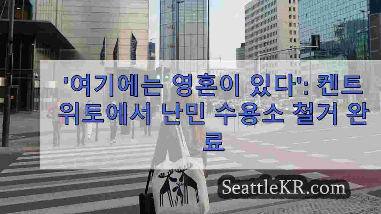 시애틀 뉴스 SeattleKR