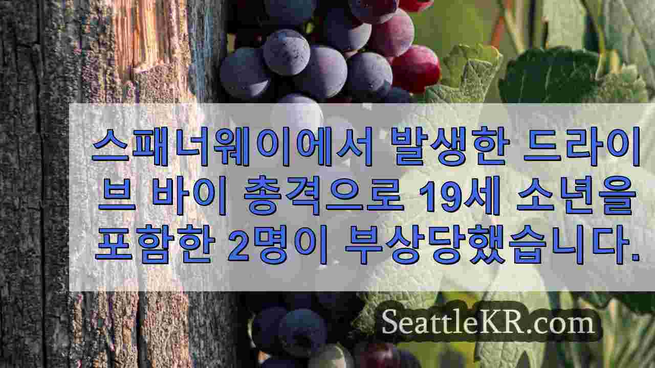 시애틀 뉴스 SeattleKR