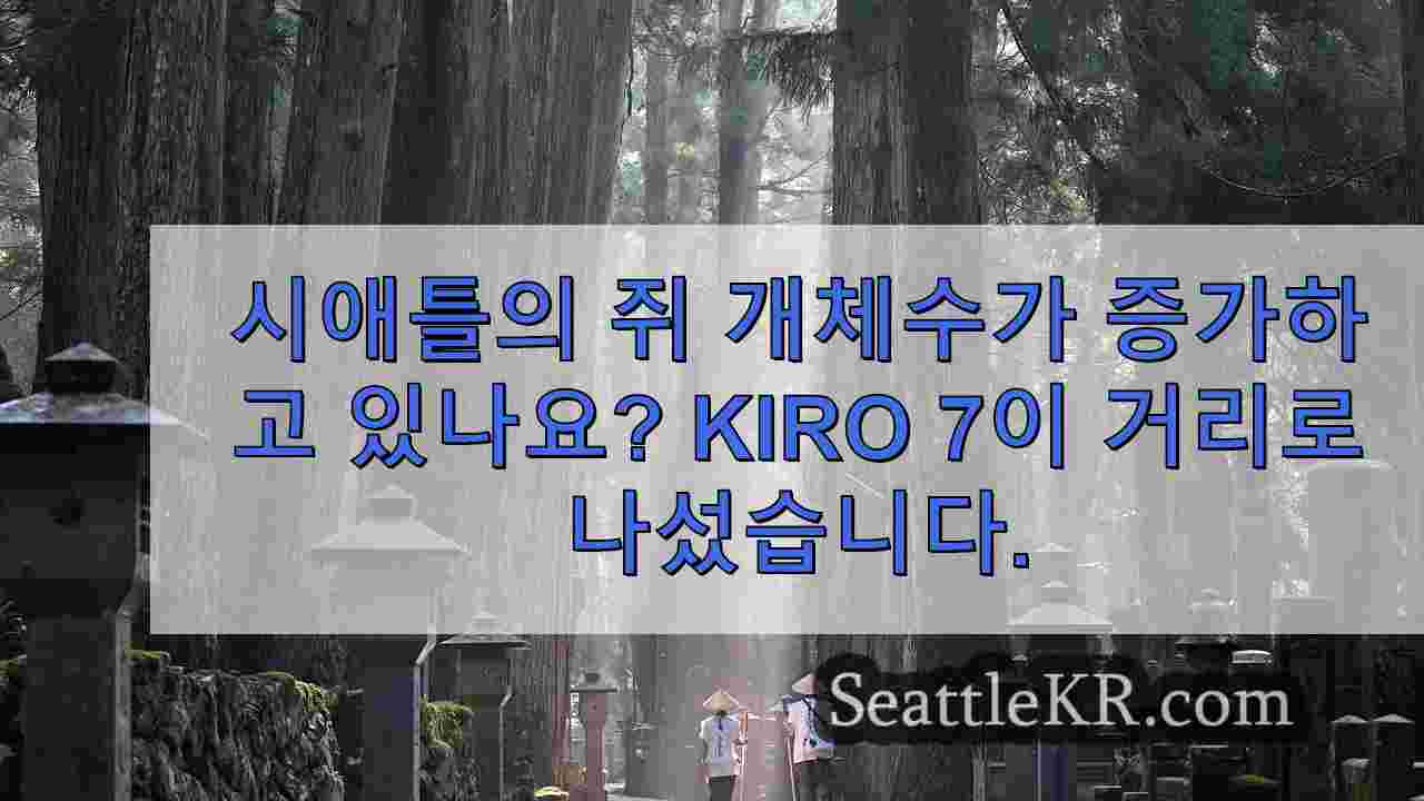 시애틀 뉴스 SeattleKR
