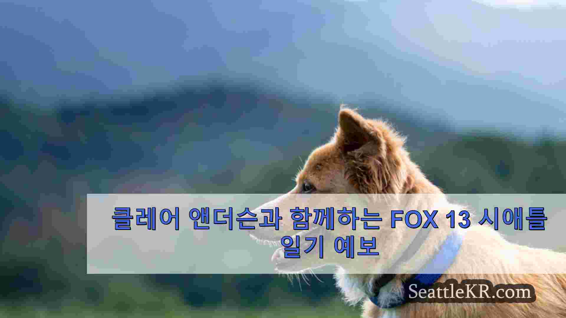 시애틀 뉴스 SeattleKR