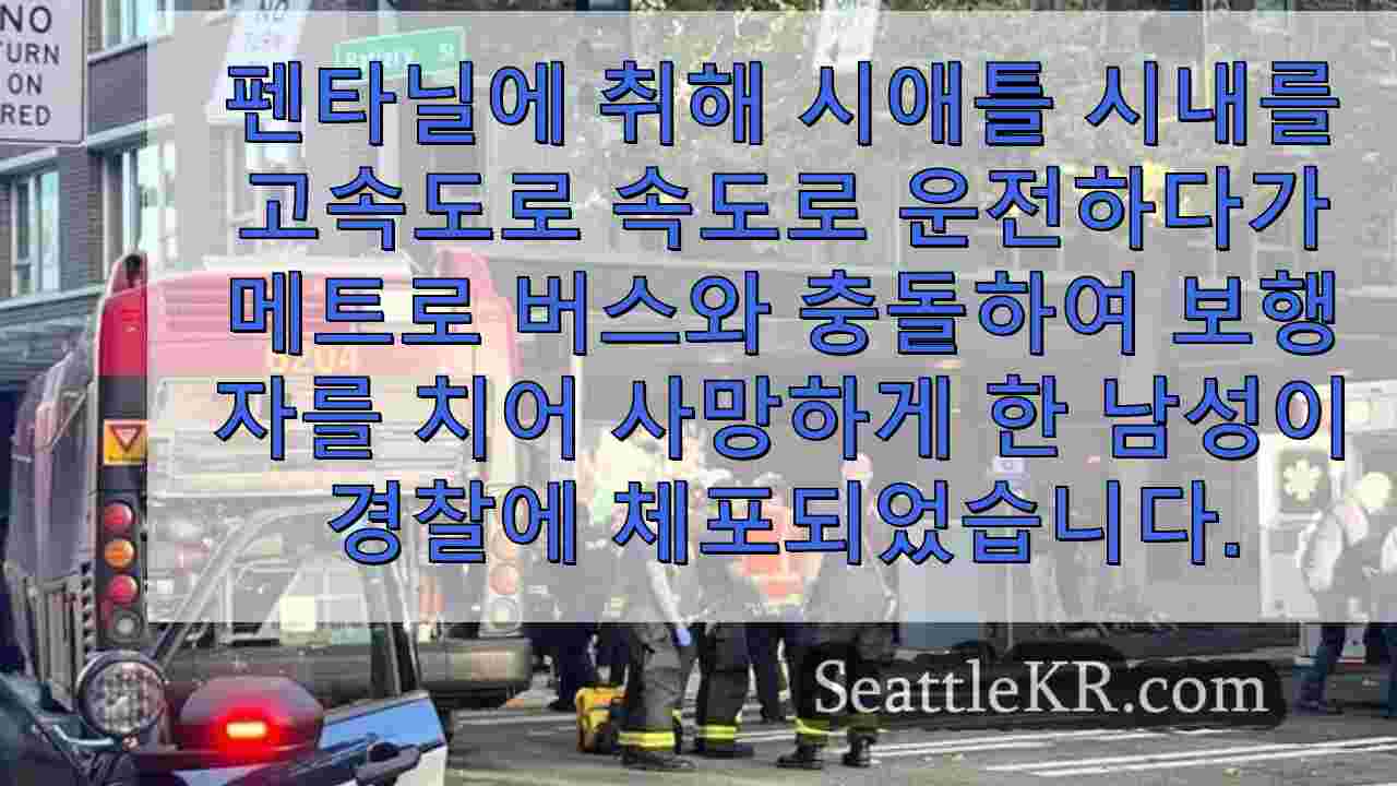 시애틀 뉴스 SeattleKR