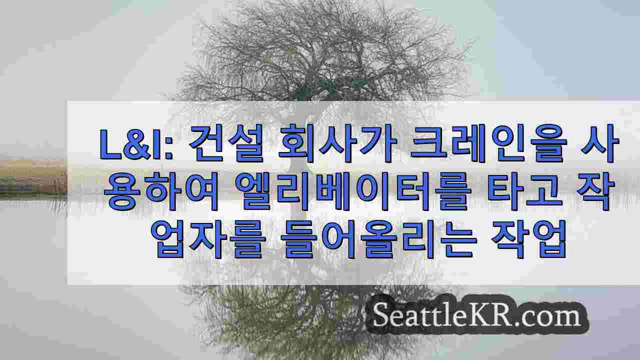 시애틀 뉴스 SeattleKR