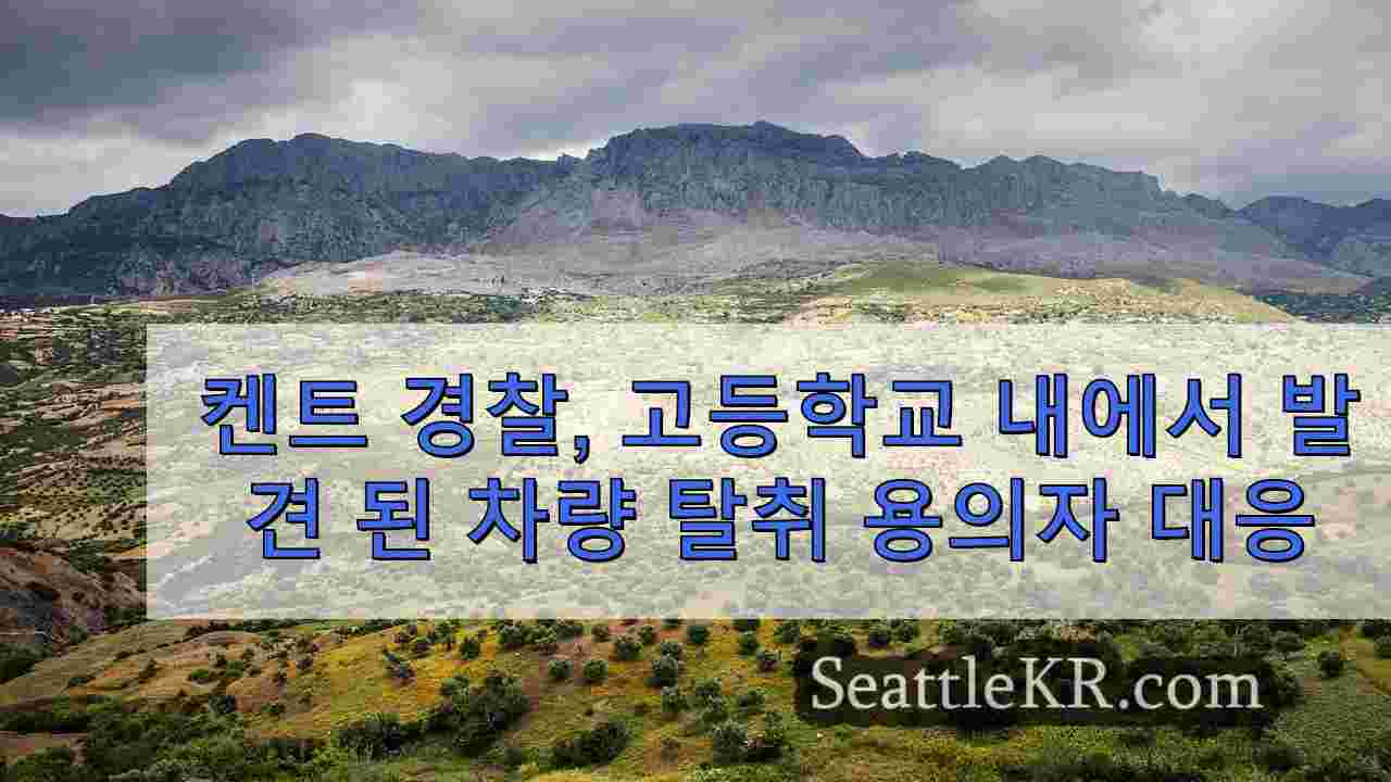 시애틀 뉴스 SeattleKR