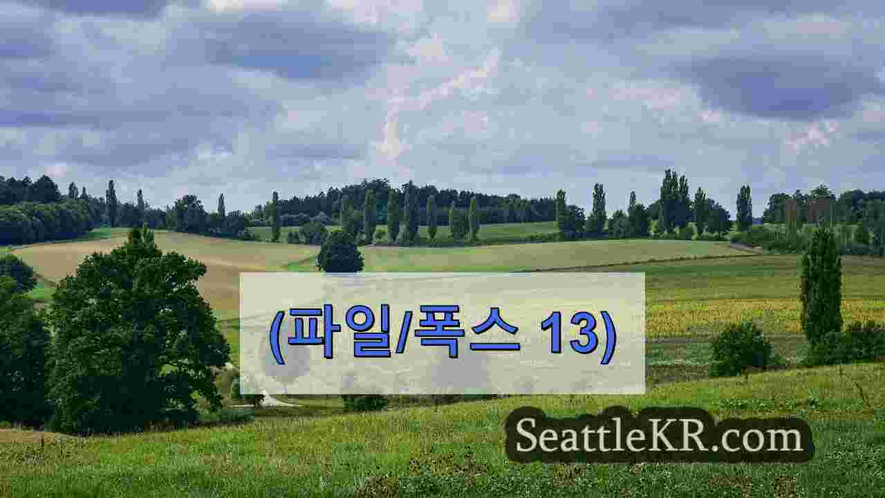 시애틀 뉴스 SeattleKR