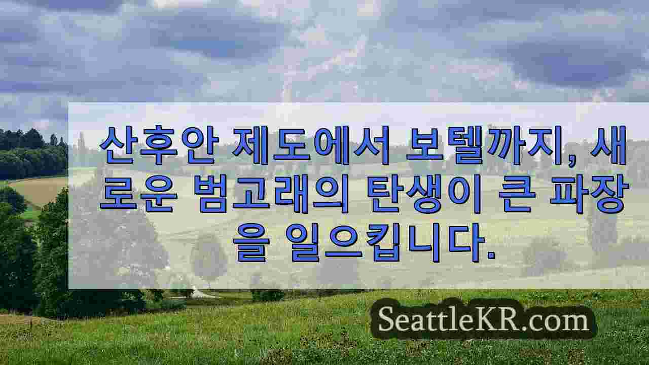 시애틀 뉴스 SeattleKR