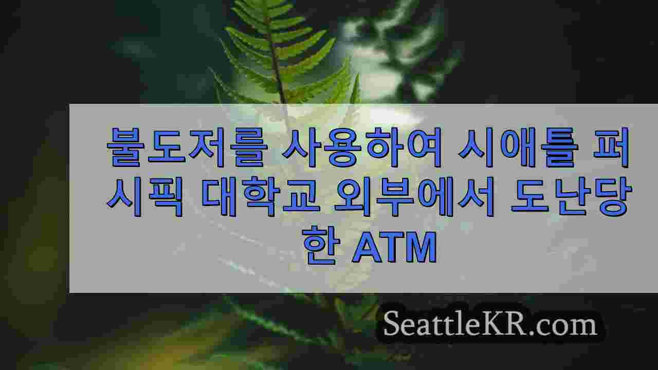 시애틀 뉴스 SeattleKR