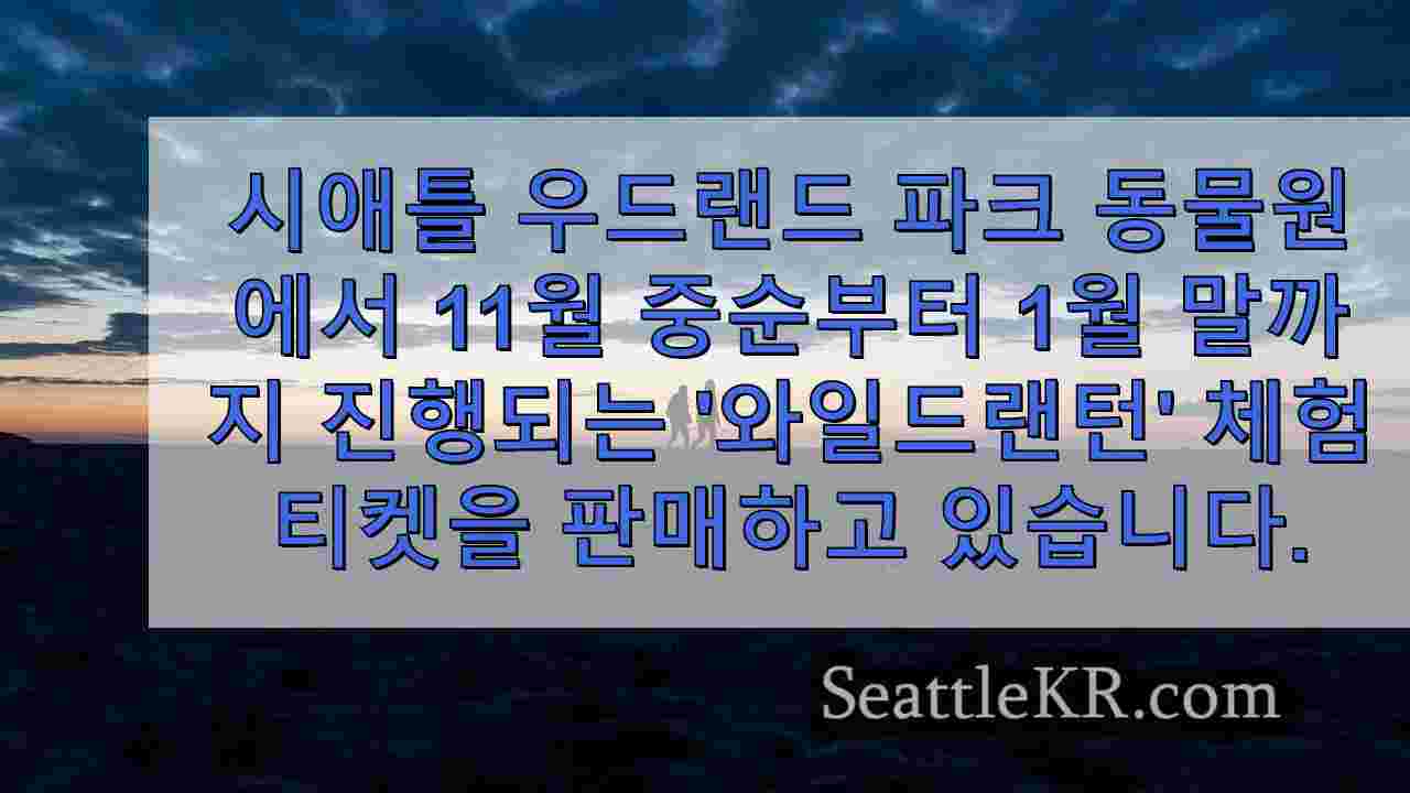시애틀 뉴스 SeattleKR