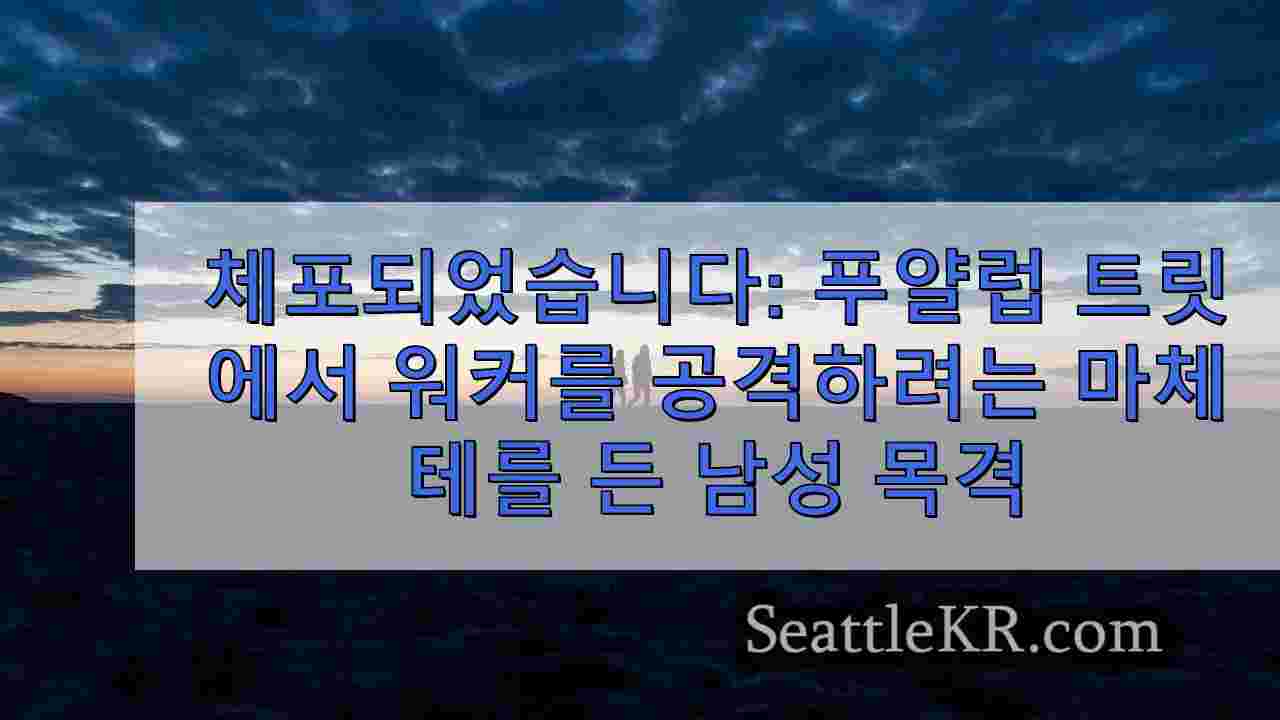 시애틀 뉴스 SeattleKR