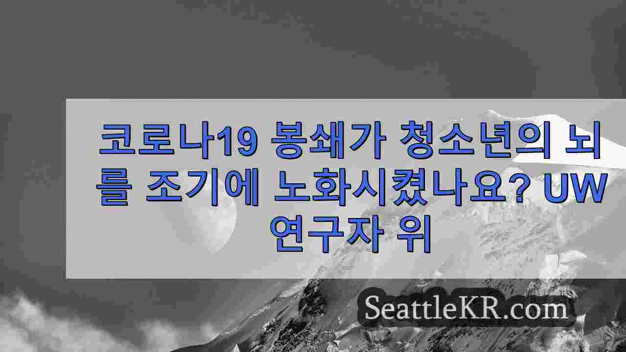 시애틀 뉴스 SeattleKR
