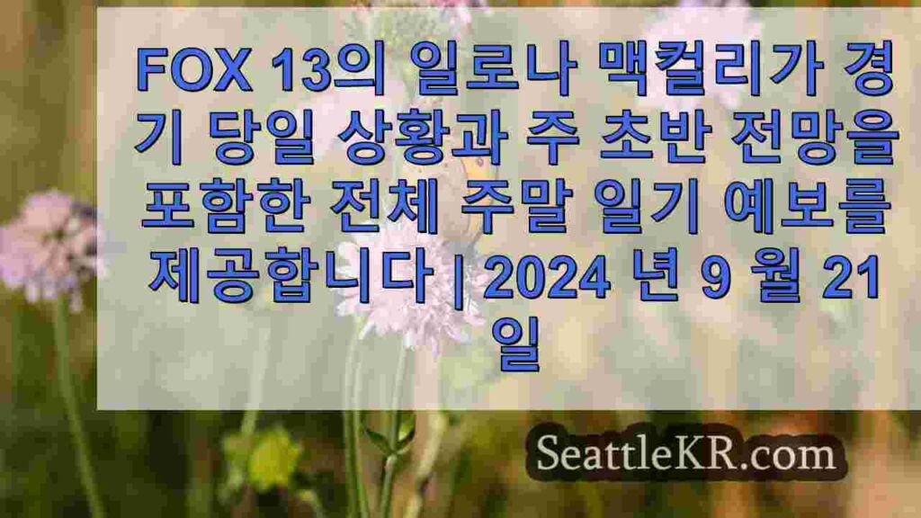 시애틀 날씨: 주 초반 예열 전 북부 소나기