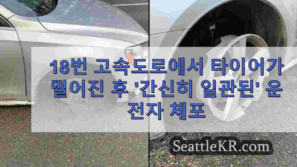18번 고속도로에서 타이어가 떨어진 후 '간신히 일관된' 운전자 체포
