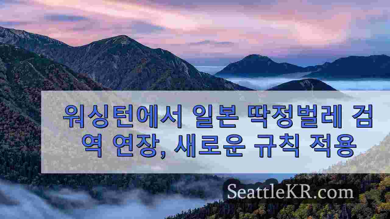시애틀 뉴스 SeattleKR