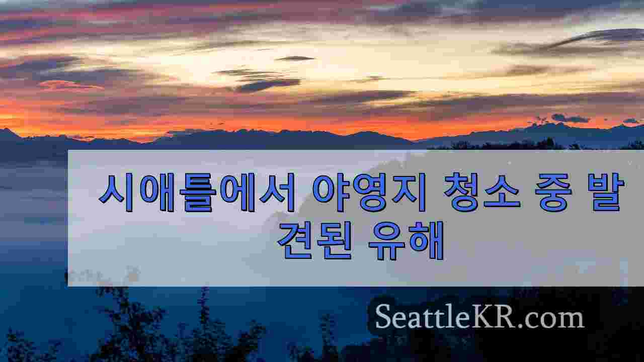 시애틀 뉴스 SeattleKR