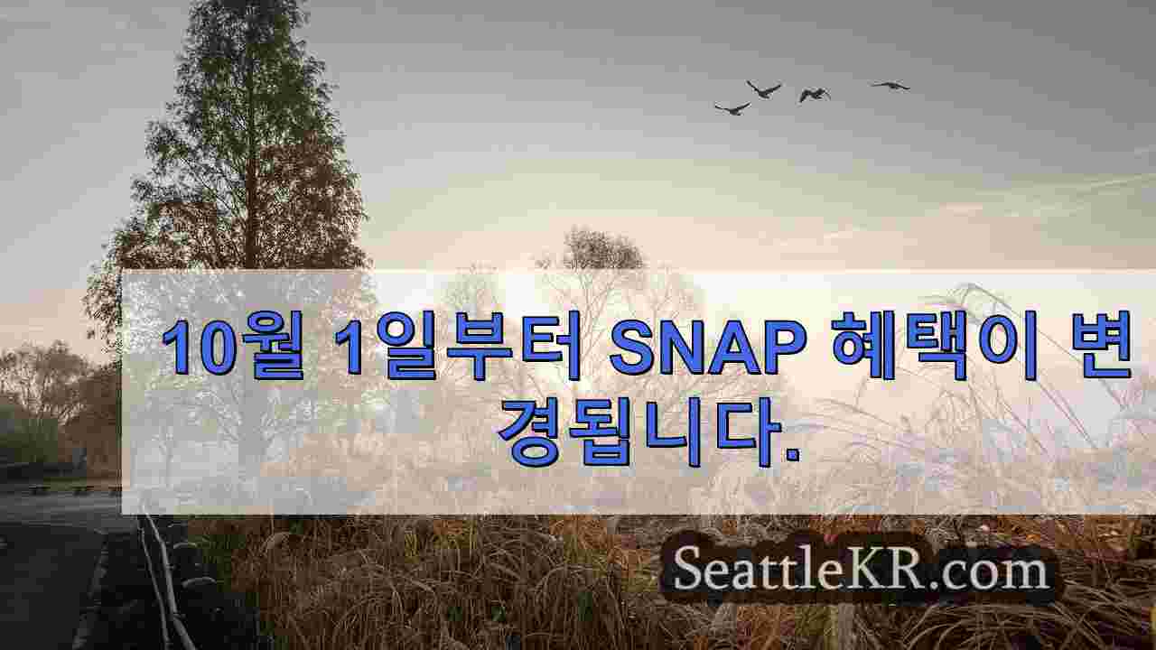 시애틀 뉴스 SeattleKR