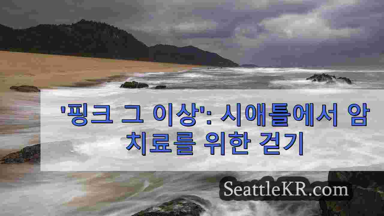 시애틀 뉴스 SeattleKR