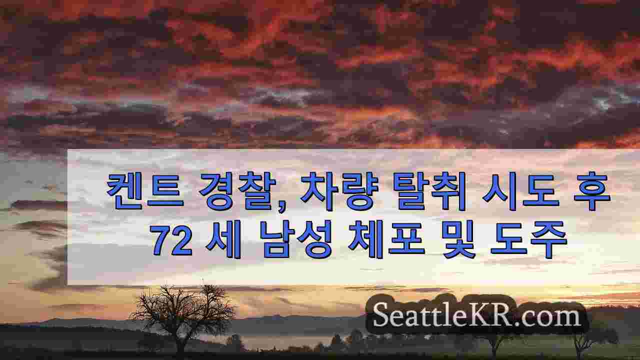 시애틀 뉴스 SeattleKR