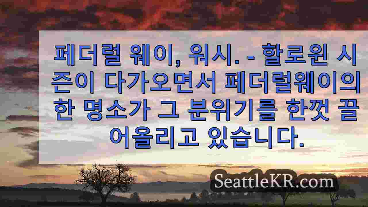 워싱턴주 페더럴웨이의 와일드 웨이브에 부빌 앳 프레이트 페스트가