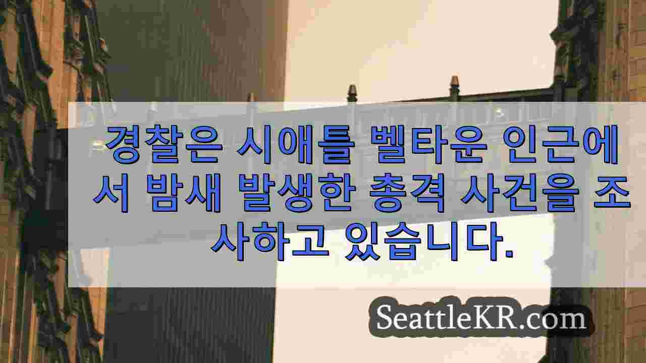 시애틀 뉴스 SeattleKR