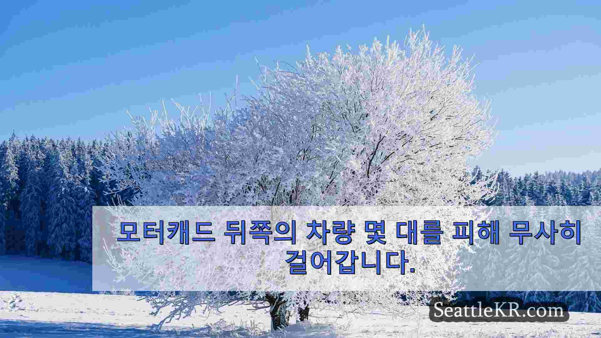 시애틀 뉴스 SeattleKR