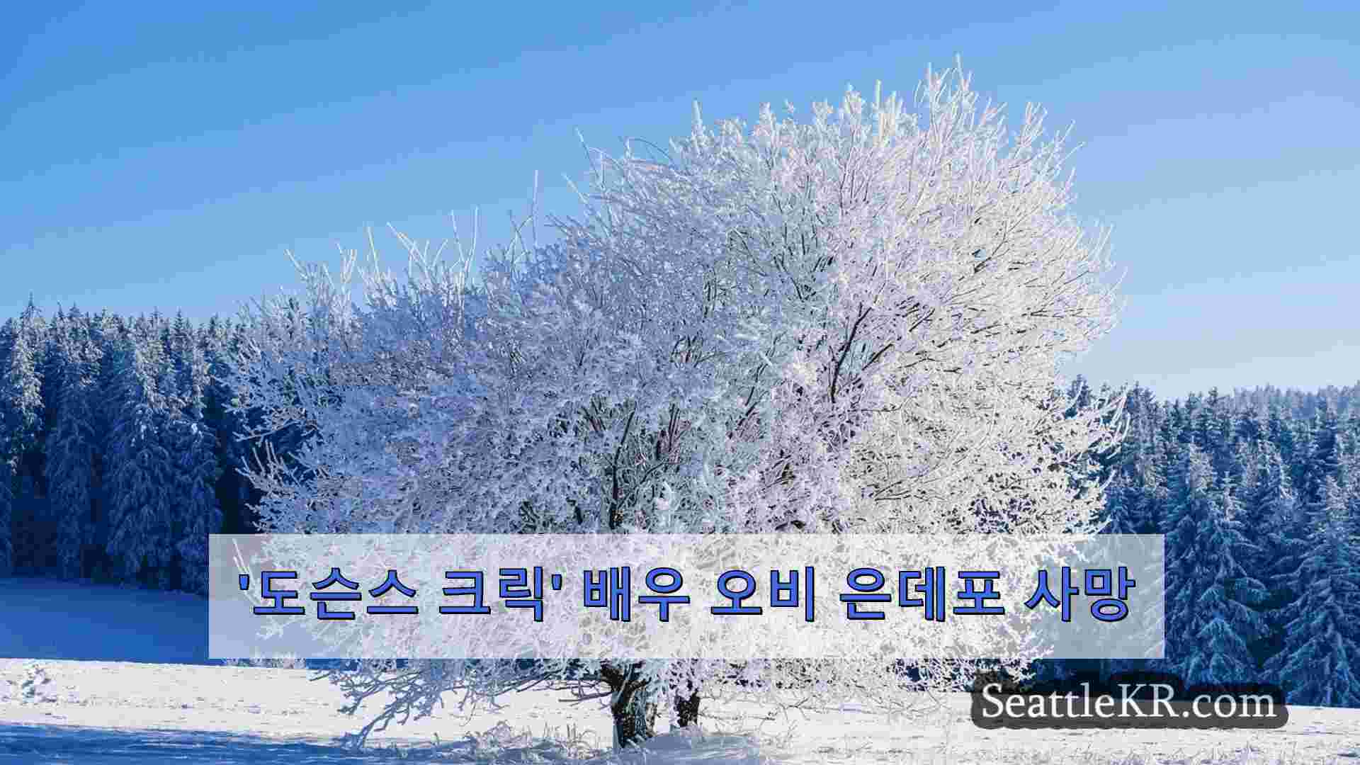시애틀 뉴스 SeattleKR
