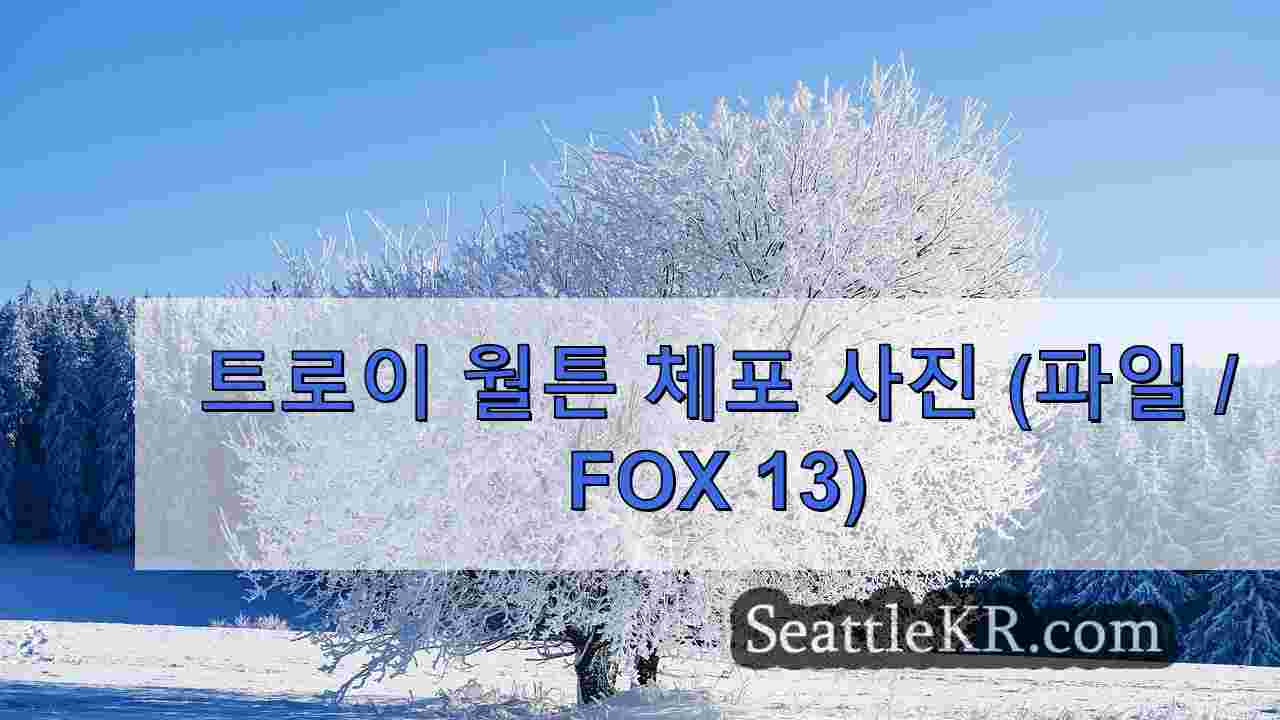 시애틀 뉴스 SeattleKR