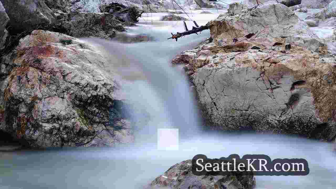 시애틀 뉴스 SeattleKR