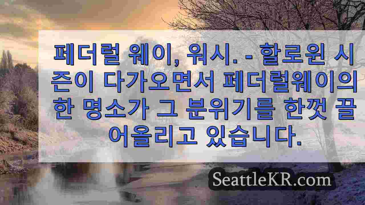 시애틀 뉴스 SeattleKR