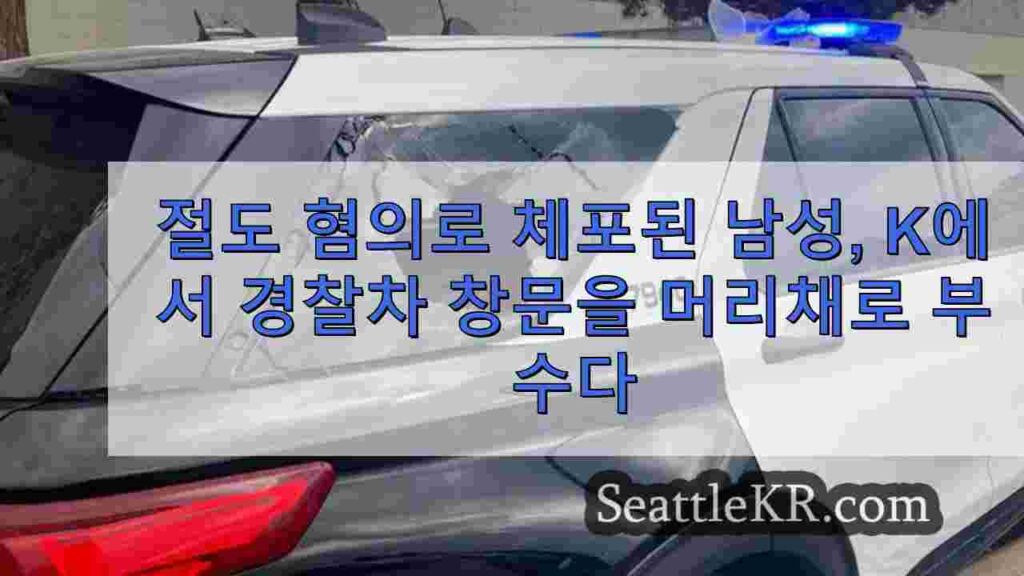 절도 혐의로 체포 된 남성, 케네 윅에서 경찰차 창문을 머리로 부수다