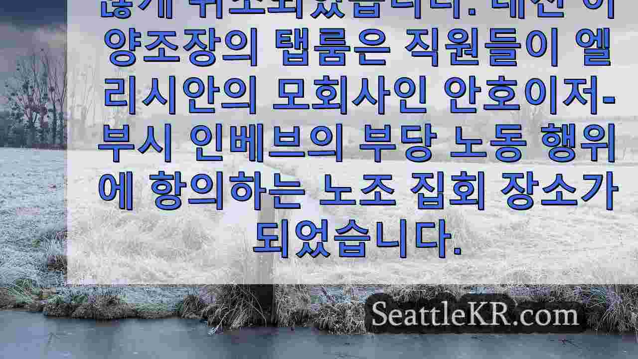시애틀 뉴스 SeattleKR