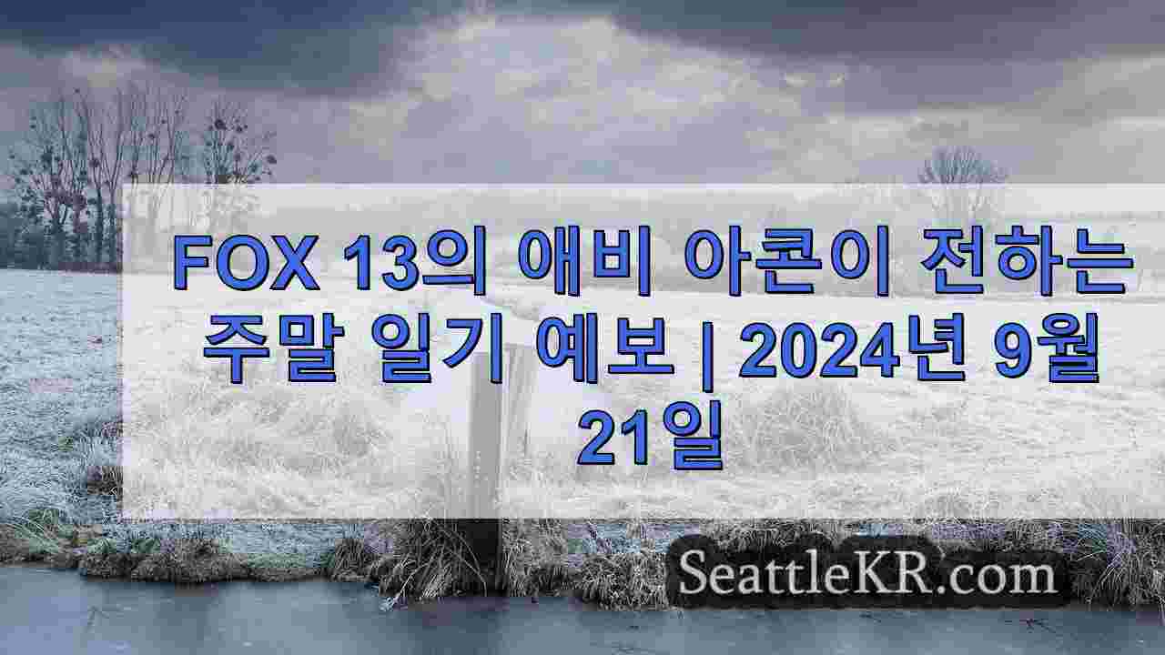 시애틀 뉴스 SeattleKR
