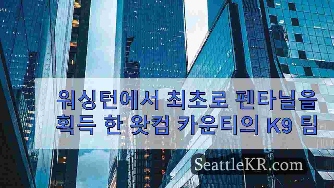 시애틀 뉴스 SeattleKR