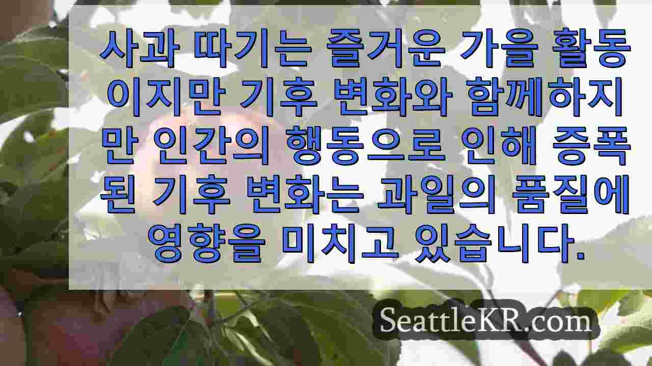 시애틀 뉴스 SeattleKR