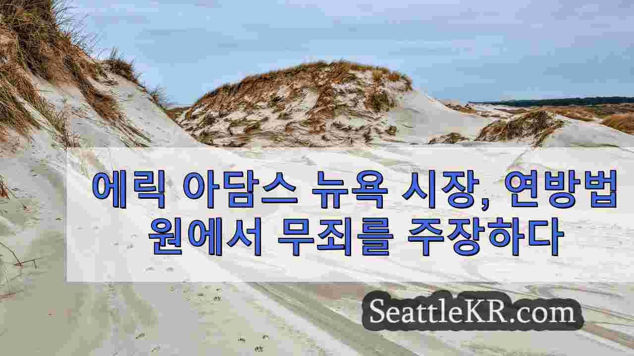 시애틀 뉴스 SeattleKR