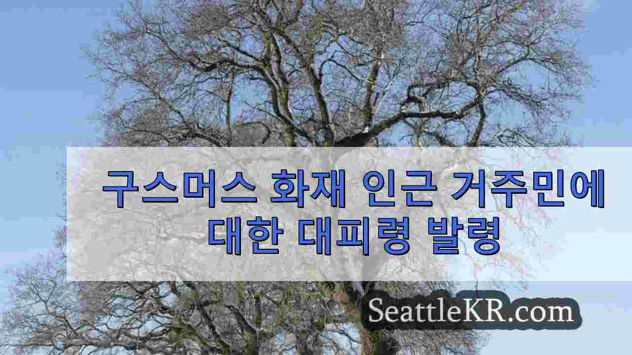 시애틀 뉴스 SeattleKR