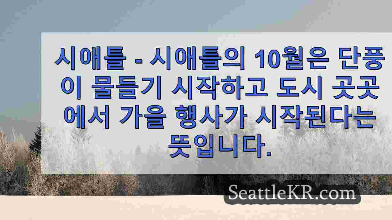 시애틀 뉴스 SeattleKR