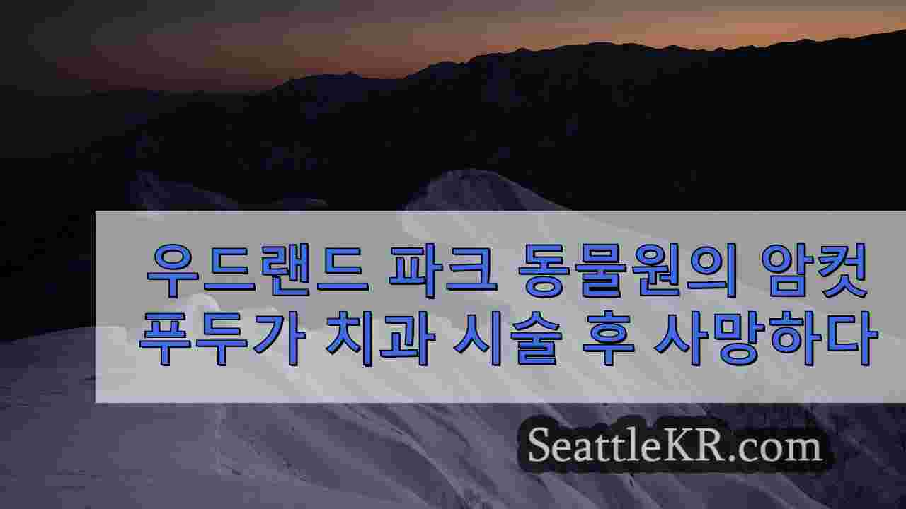 시애틀 뉴스 SeattleKR