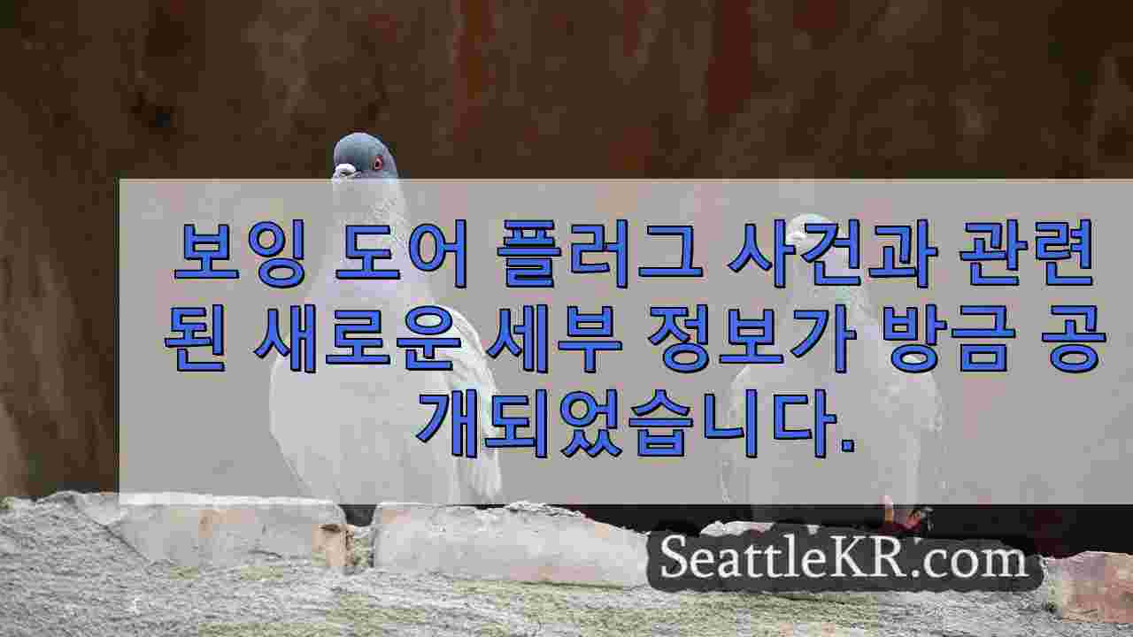 시애틀 뉴스 SeattleKR
