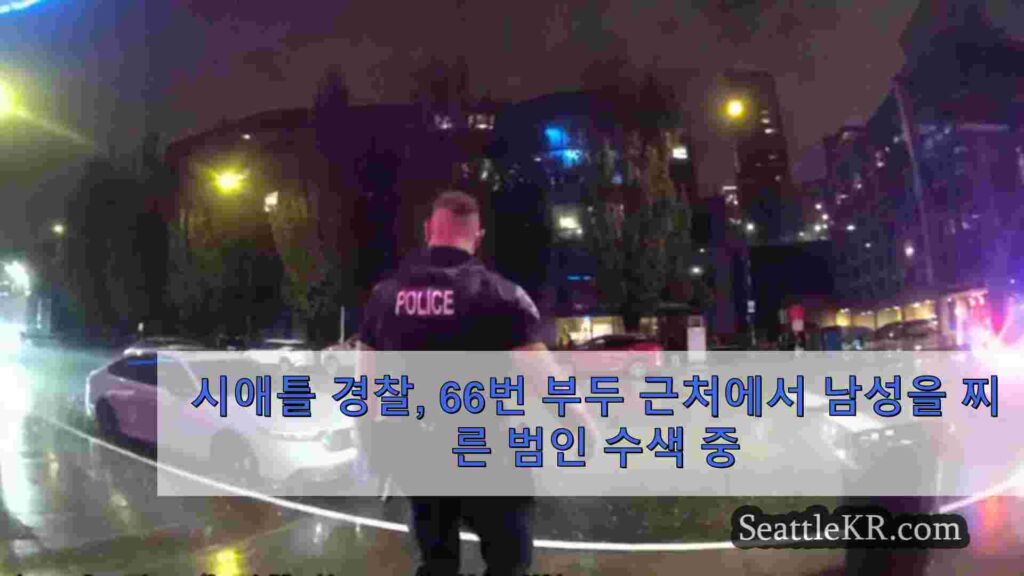 시애틀 경찰, 66번 부두 근처에서 남성을 찌른 범인 수색 중