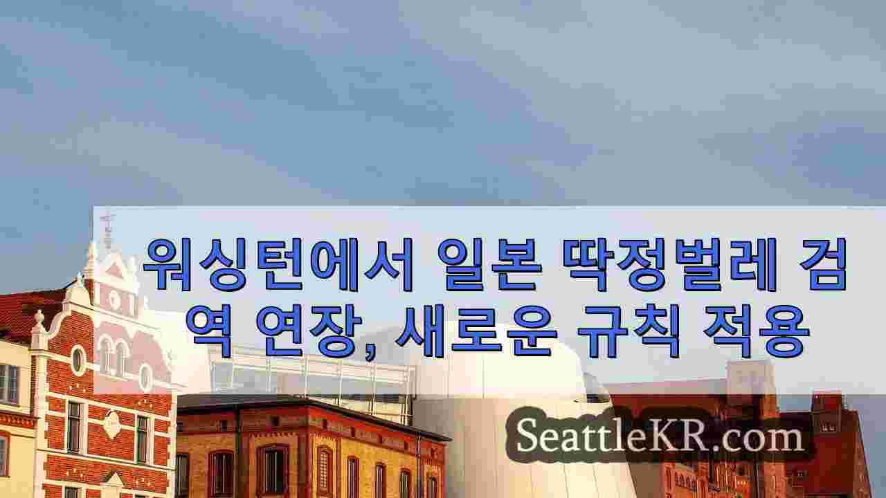 시애틀 뉴스 SeattleKR
