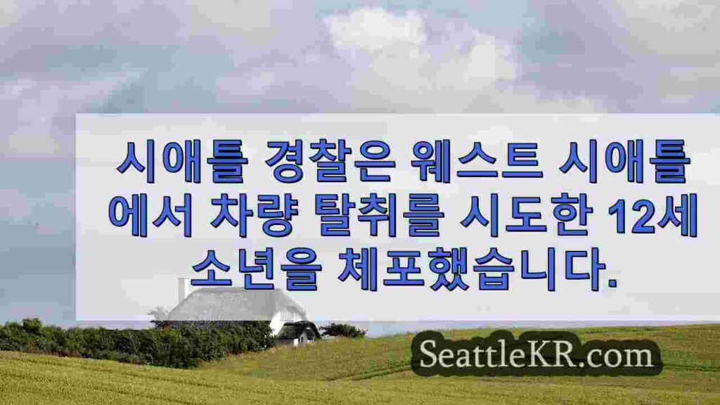시애틀 경찰, 웨스트 시애틀에서 차량 탈취를 시도한 12세 소년 체포